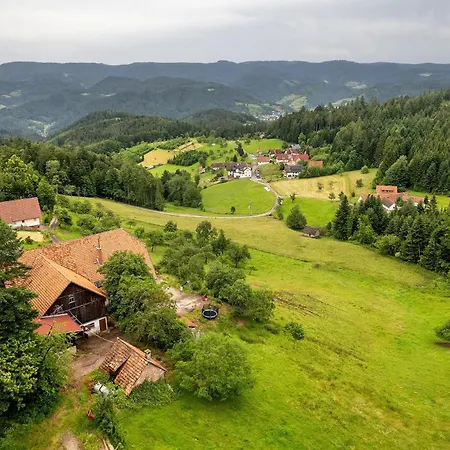 Gruener Ausblick *